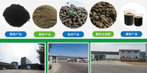 京陽生物致力打造大型純植物源有機肥生產基地，引領綠色農業(yè)新風尚