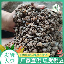 河北生物菌生物有機肥料研發(fā) 推進綠色農業(yè)發(fā)展新路徑