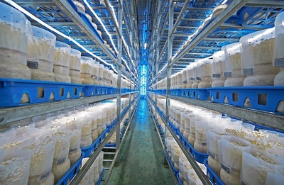 福建省首家農業(yè)產(chǎn)業(yè)研究院落戶廈門翔安 專注生物有機肥料研發(fā)助力綠色農業(yè)