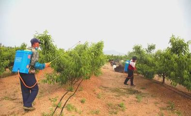 世代海洋生物科技 以科技與創(chuàng)新為雙翼，引領海帶行業(yè)與生物有機肥研發(fā)新篇章