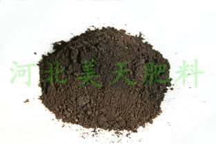 河北美天集團(tuán) 以科技創(chuàng)新引領(lǐng)質(zhì)高效生物有機(jī)肥料研發(fā)，助推綠色農(nóng)業(yè)可持續(xù)發(fā)展